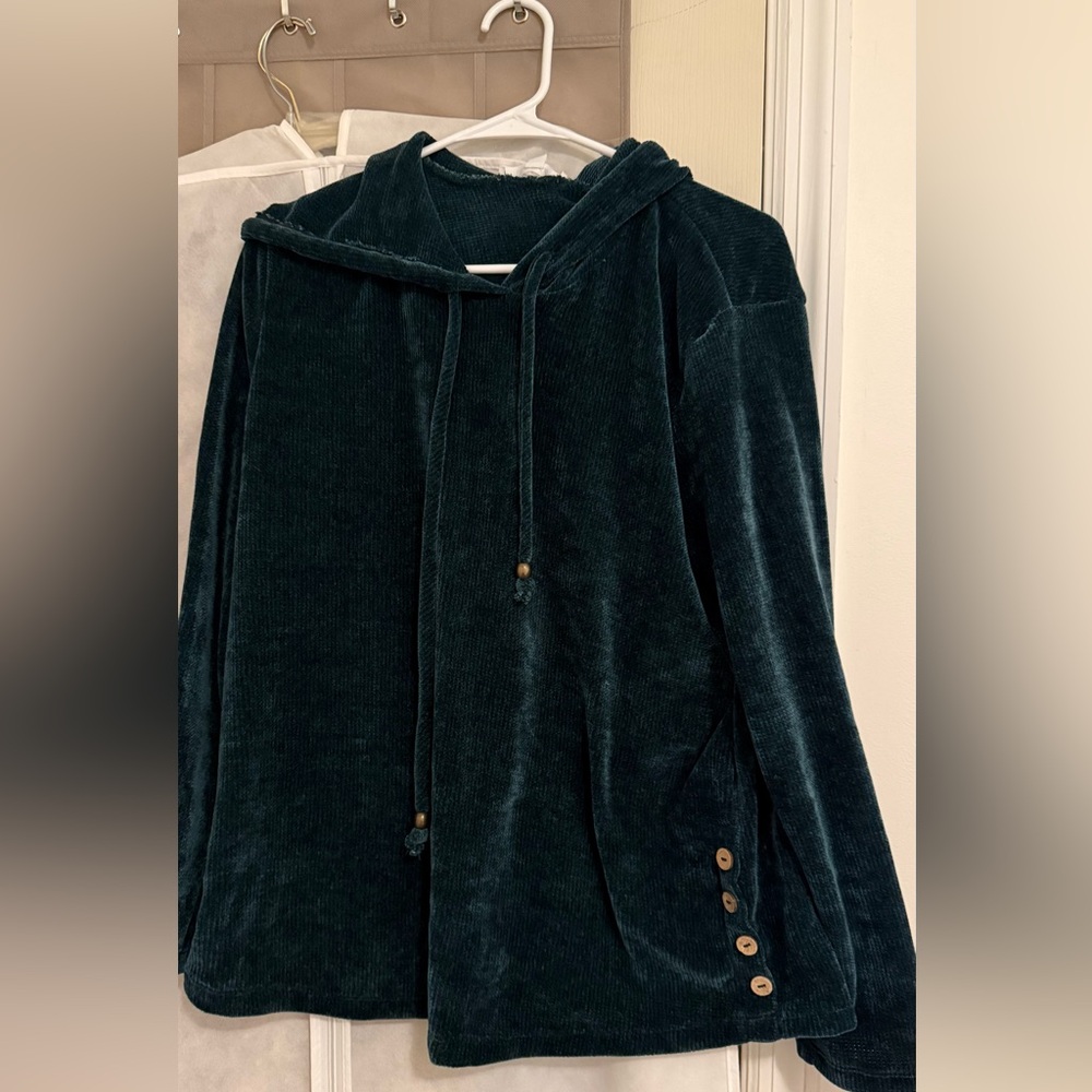 Velour Hooded Pullover in Deep Teal